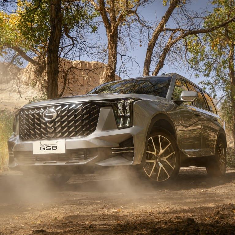 GS8