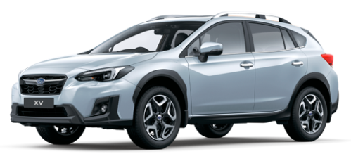 XV 