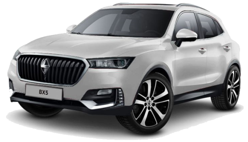 BX5 